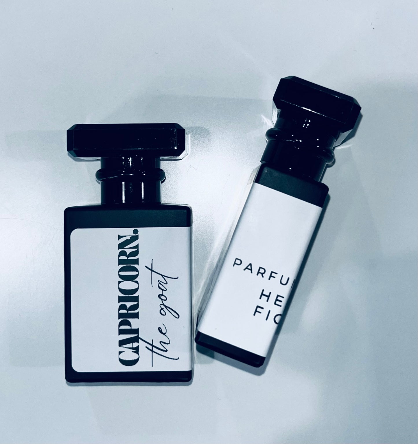 CAPRICORN : The Goat