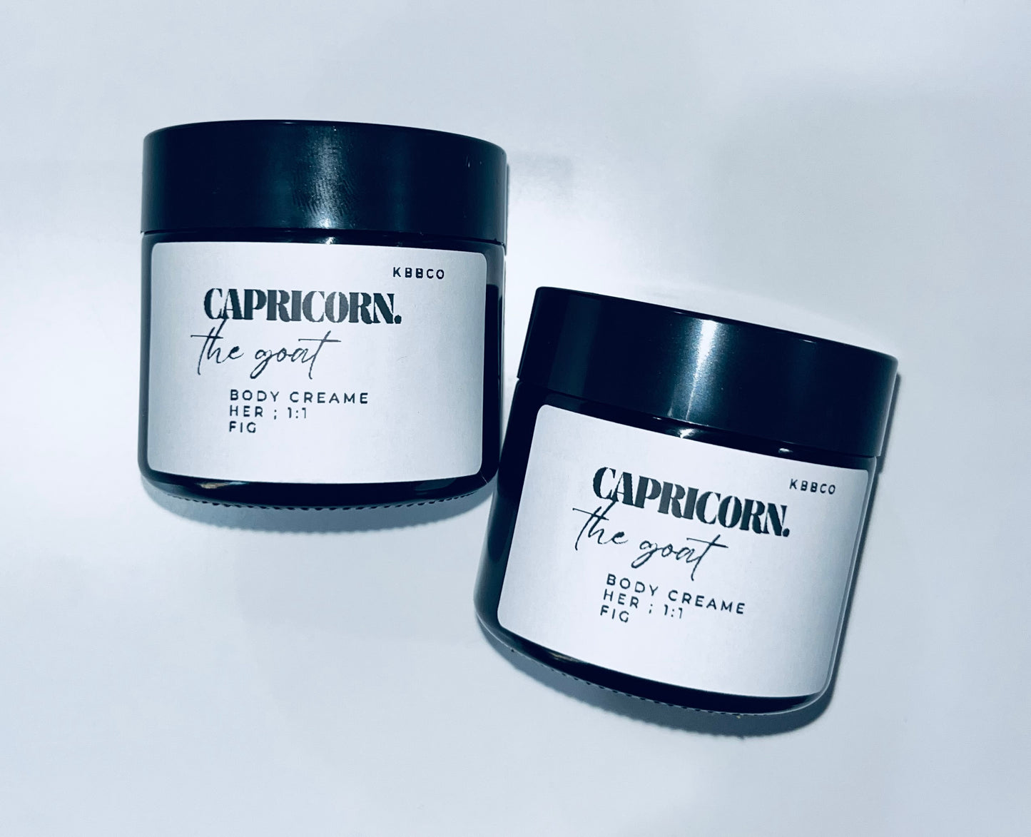 CAPRICORN : The Goat