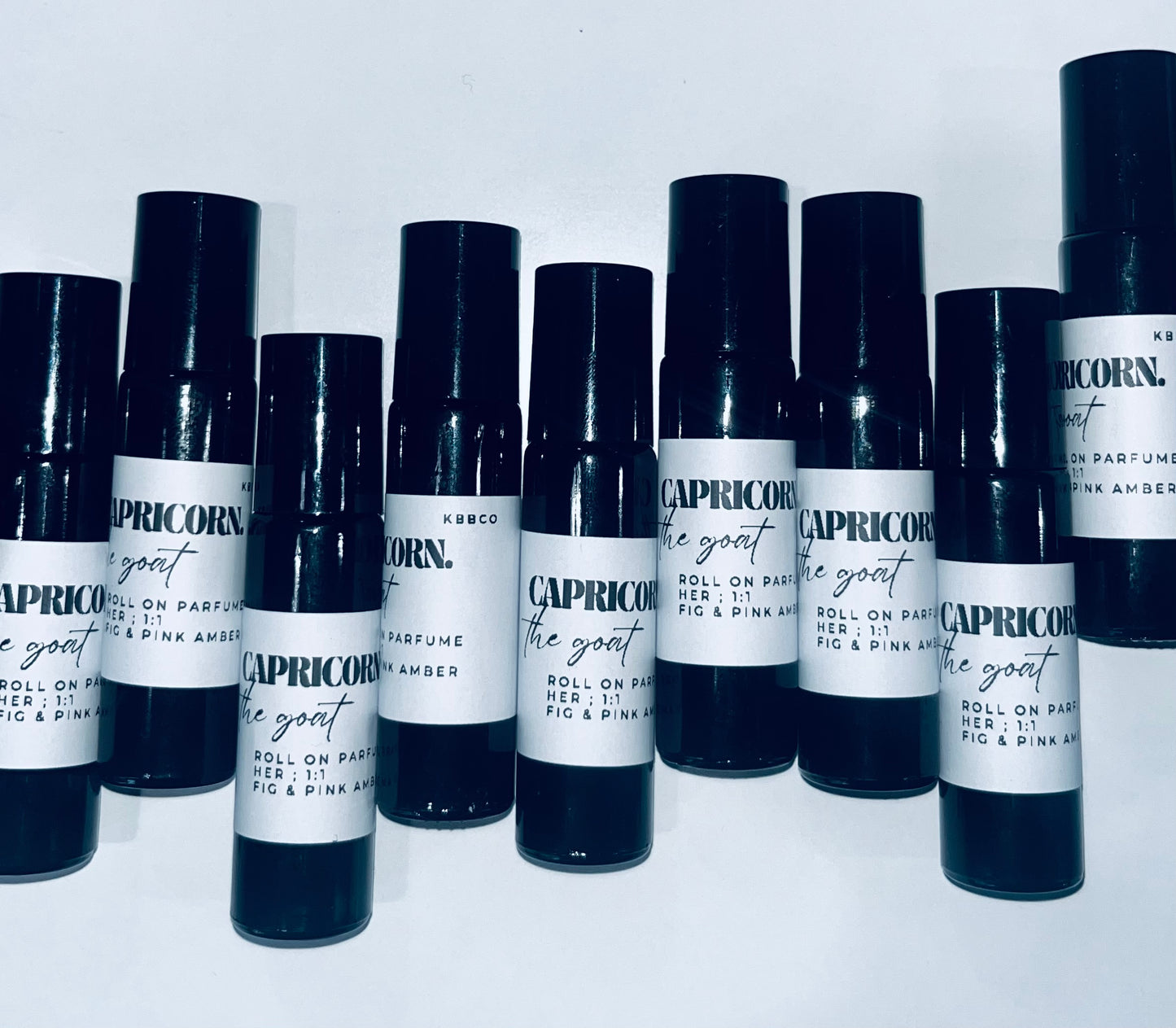 CAPRICORN : The Goat